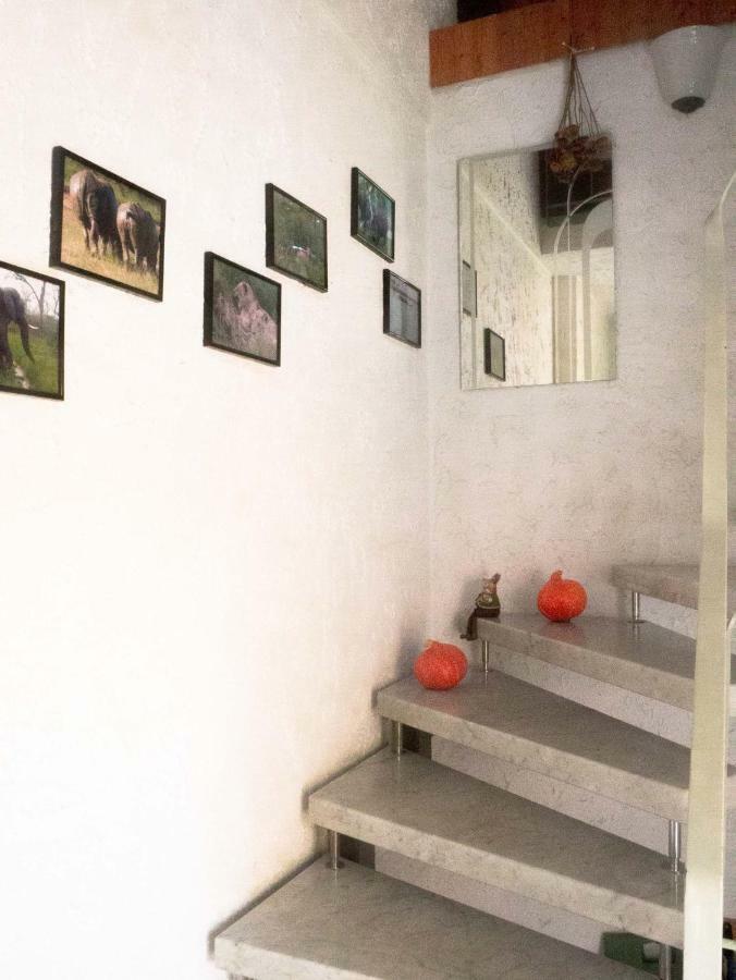 Im Grunen Am Stadtrand Saarbrucken Bagian luar foto